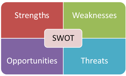 Do a SWOT analysis