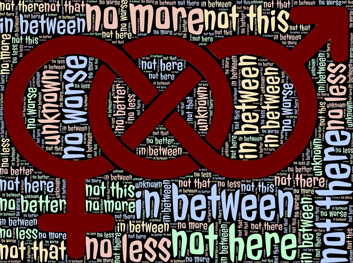 Gender identity terms